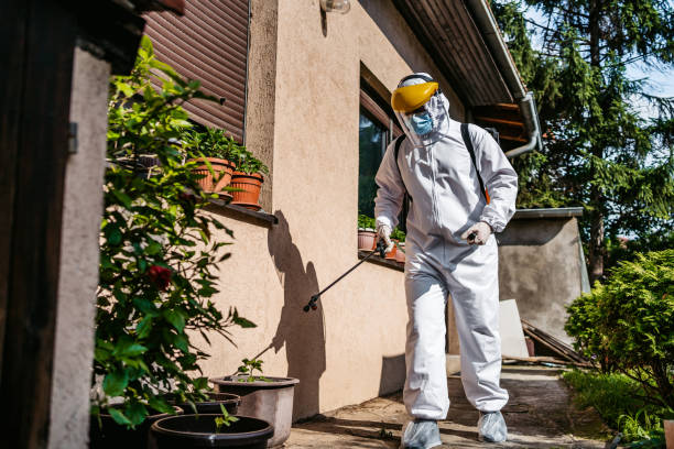 Best Residential Pest Control  in Poinciana, FL