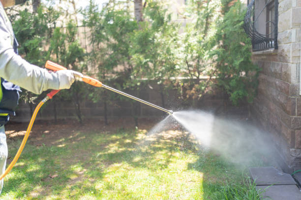 Best Affordable Pest Control Services  in Poinciana, FL