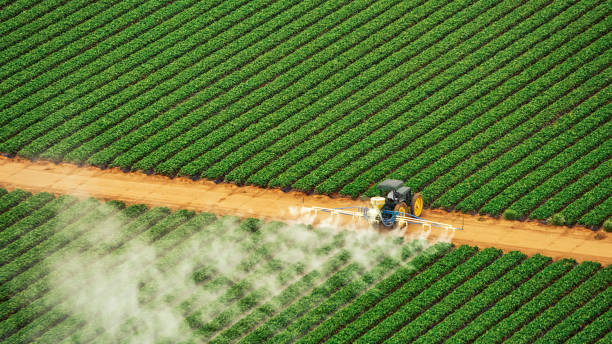 Best Commercial Pest Control Services  in Poinciana, FL